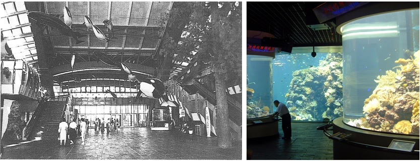左圖為國立海洋生物博物館大廳/右圖為珊瑚王國。蘭陽博物館提供