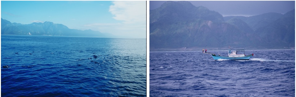 左圖：黑潮帶著大洋浮游生物靠近岸緣 / 右圖：黑潮流域特有的鏢魚船