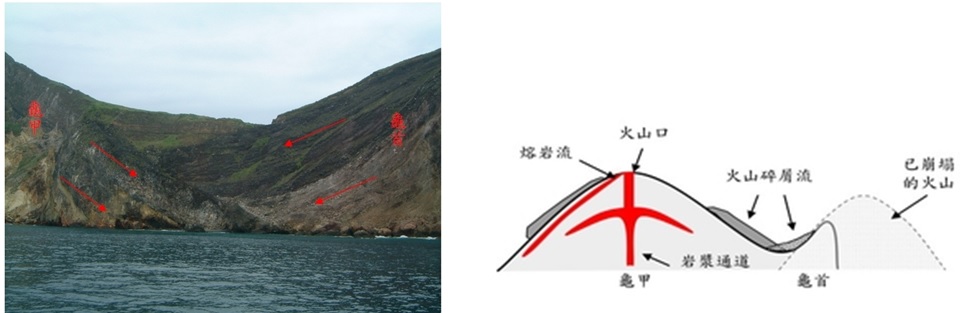 左圖圖四：龜頸附近有火山碎屑岩流堆積，由不同的堆積方向（箭頭）可研判係來自不同的火山口 / 右圖圖五：龜山島火山噴發形式示意圖