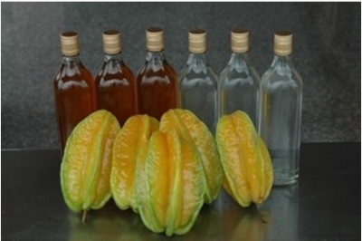 楊桃觀光果園除了可採果外，還有果農自產自製的當季新鮮楊桃露、楊桃汁以及楊桃乾在當地新鮮出售。
