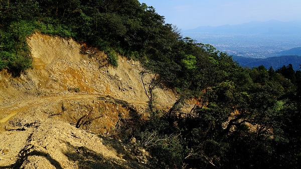 黃泥滾滾的陡峭林道亟需緊急造林與植栽復育。