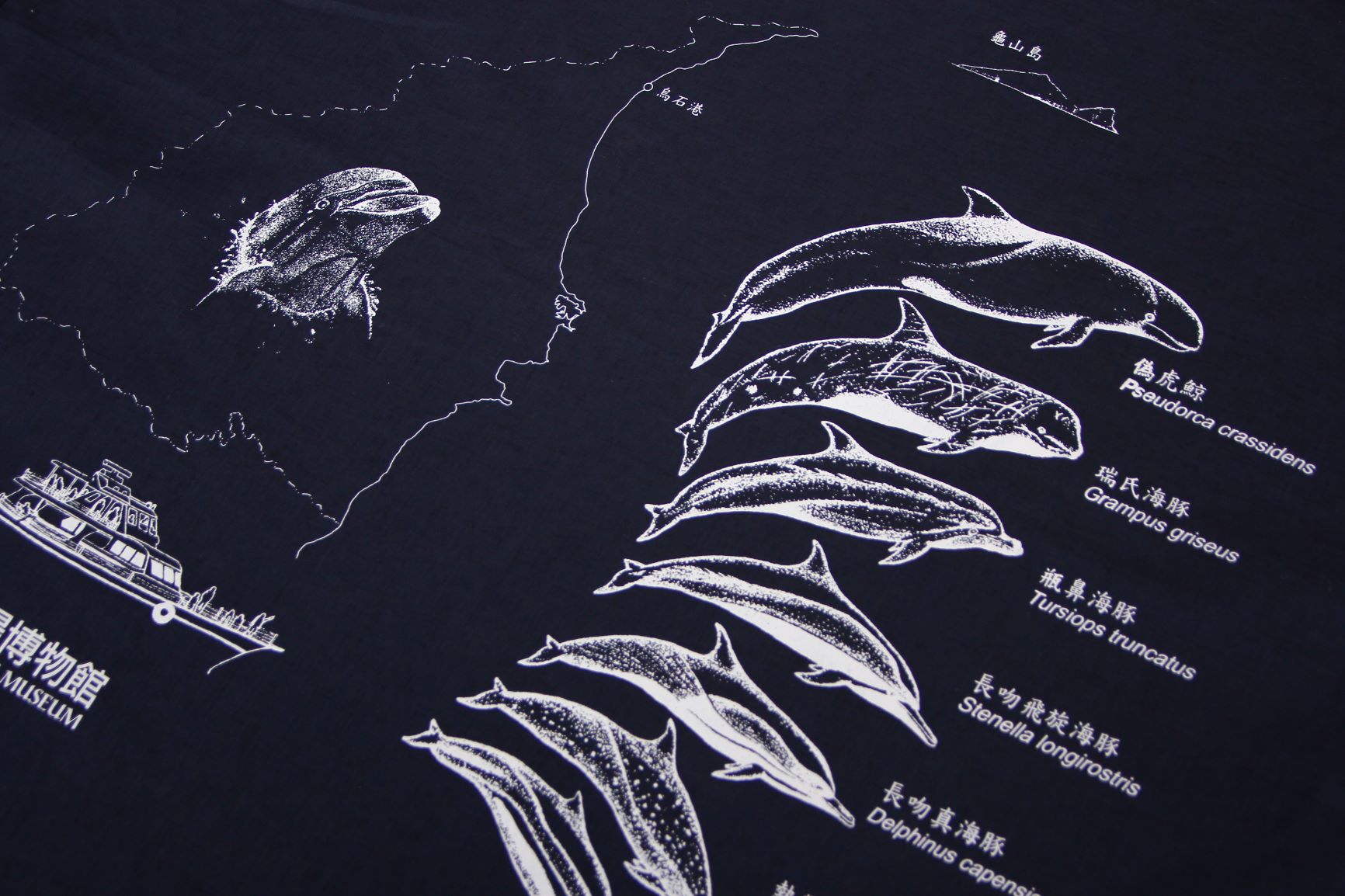 宜蘭鯨豚紀念布巾-特寫照