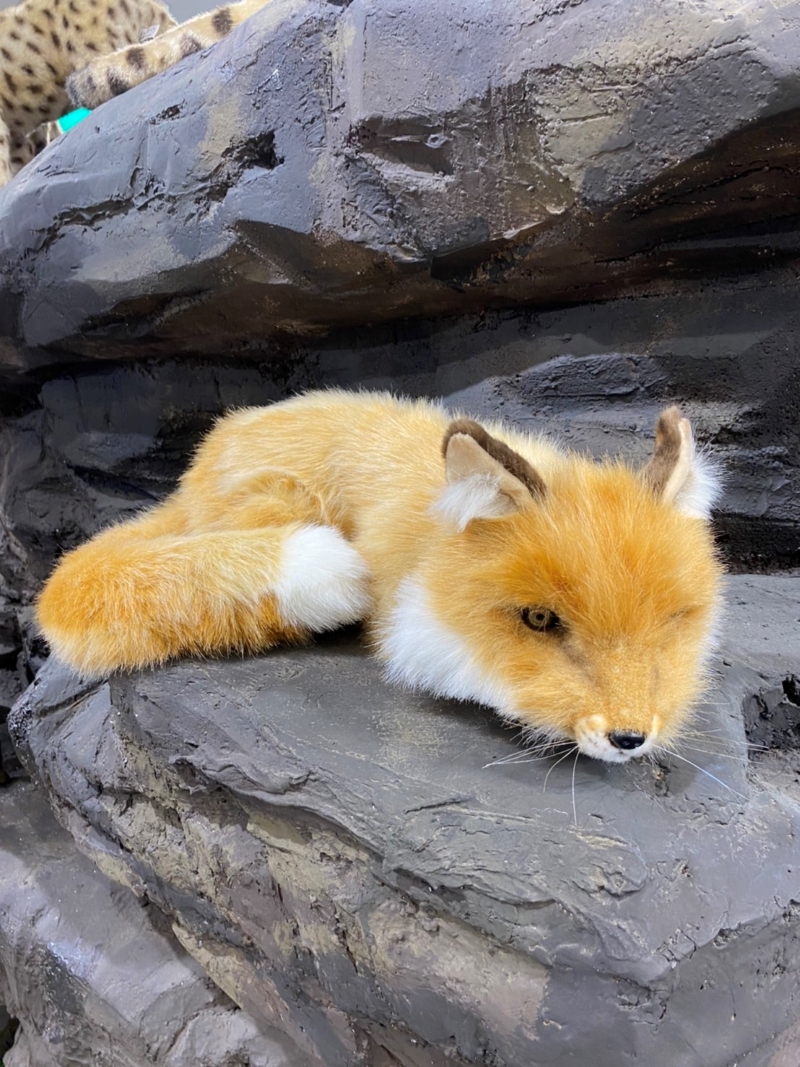 化石先生-狐狸玩偶