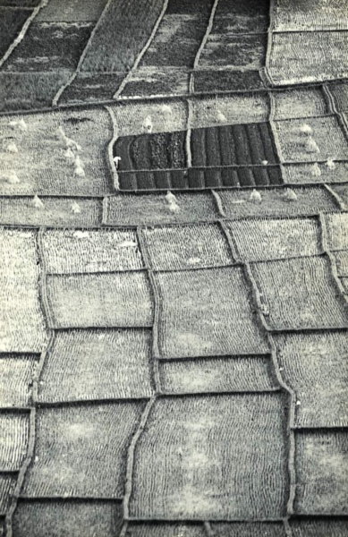 162期-04-沉寂與燦爛:1960年代的宜蘭青年攝影家林永懋(五)