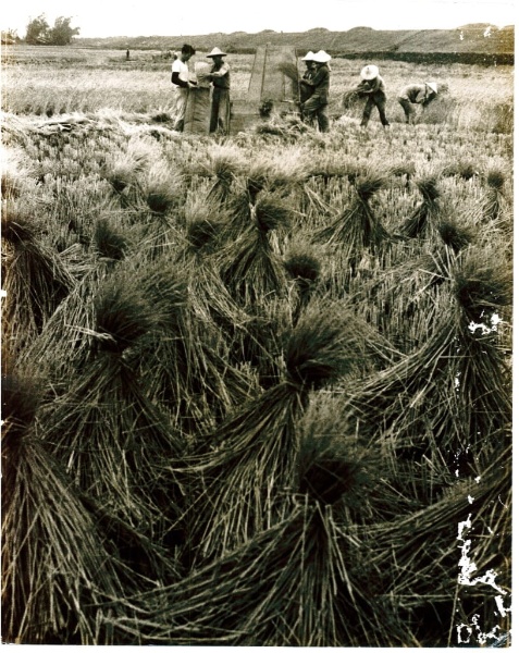 162期-04-沉寂與燦爛:1960年代的宜蘭青年攝影家林永懋(五)