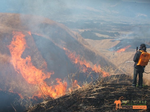 圖7：阿蘇山居民會在每年春天燒山，以維持放牧必須的草原。