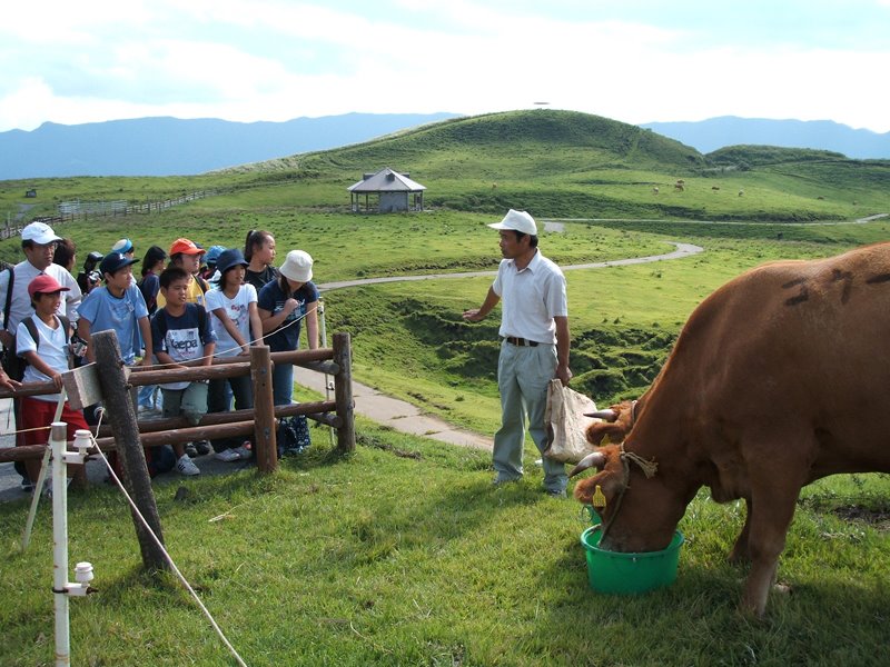 圖10：如果沒有當地住民們的話，阿蘇山現在的草原生態也會消失。