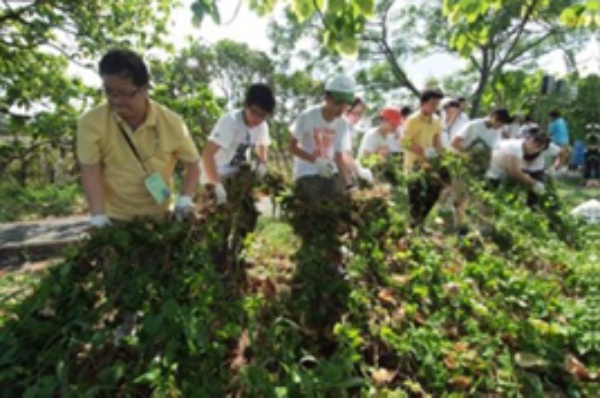 圖8：民眾協助除草等濕地保育工作。