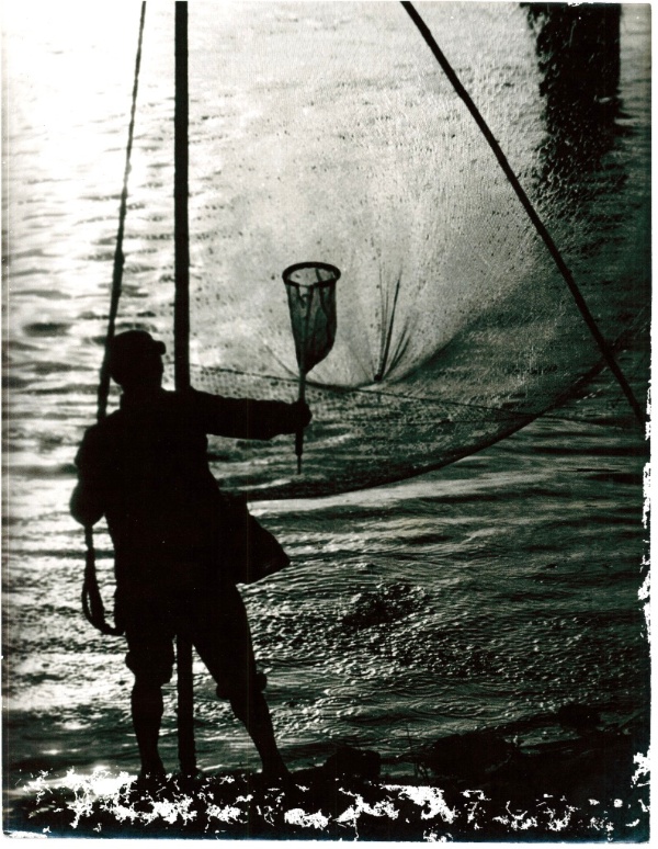 圖3：漁夫正在捕撈鰻苗。