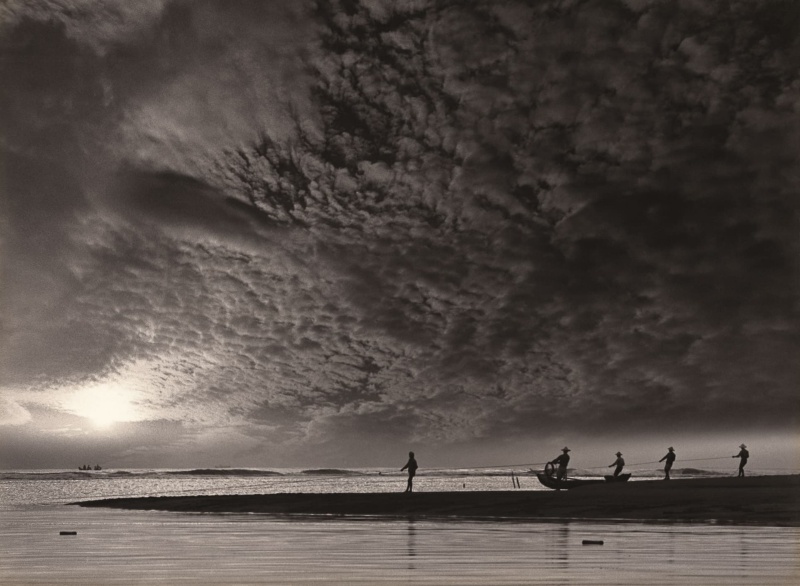 圖6：漁夫正在進行牽罟的人力拉網作業。