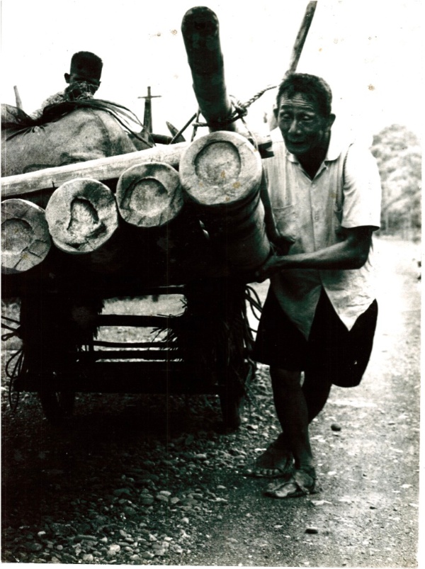 圖9：一位長者打赤腳拉著板車運送竹筏。