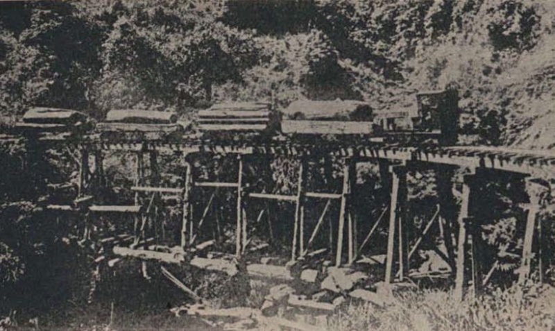 圖7：太平山運材方式的改變-後期改用機關車，以蒸汽推動，一次可以搬運4車的木材，大幅提升木材的搬運量和速度。(來源：臺北州羅東郡役所，1937，《羅東郡大觀》，羅東，羅東郡役所，國立台灣圖書館典藏。)