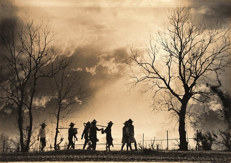 圖4：早晨七位農夫戴著斗笠，攜帶桶子與鋤頭走在田埂上。