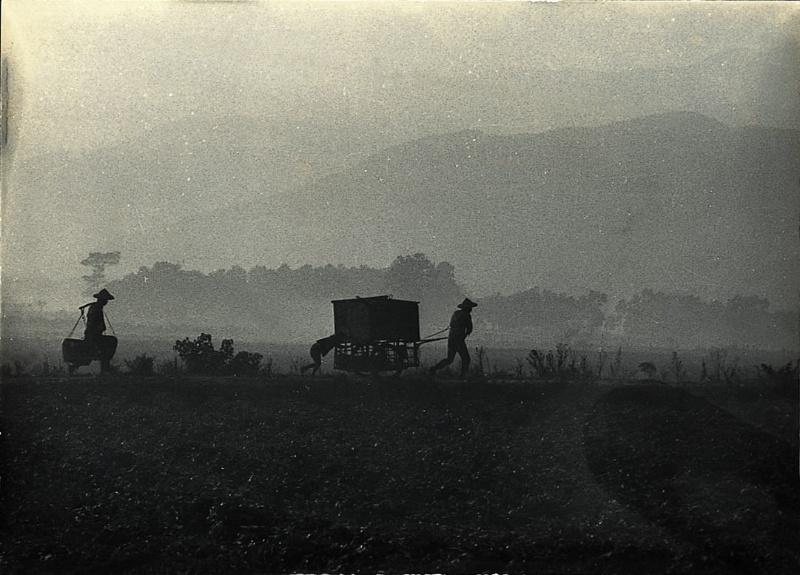 圖10：微亮晨光中，三位農人的剪影穿越畫面，一位扛著大籃子扁擔，兩位推拉著板車前行，遠山層層疊翠，就像是水墨暈染作品。