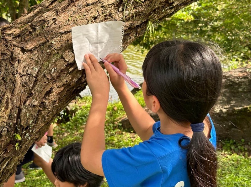 圖4：寒溪國小學生認真描繪樹葉外型。（彭仁怡 攝）