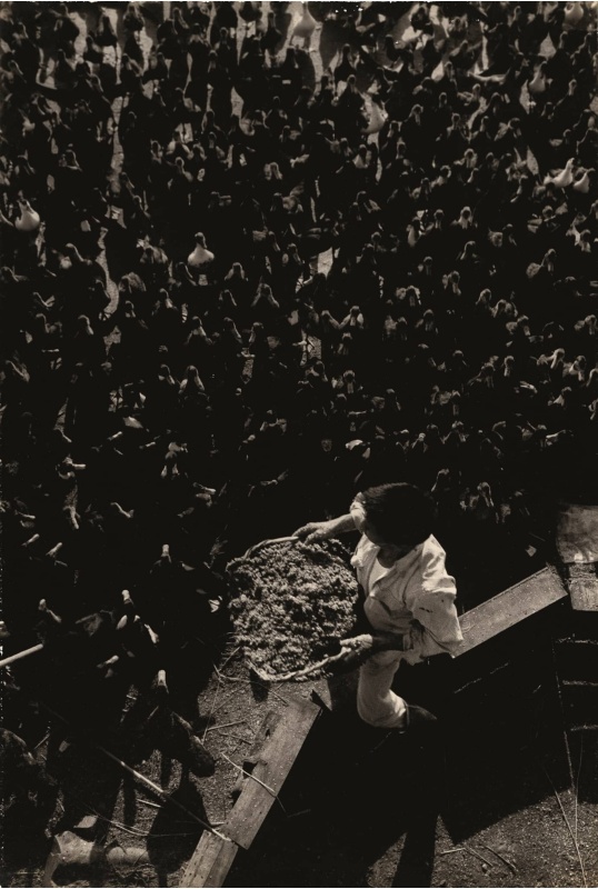 圖9：鴨農站在較高處，手中拿著飼料，底下鴨群全部集中靠攏，望相飼料的放射性密集畫面。