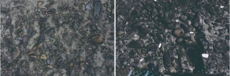 圖23：日軍碉堡：多數是塊石，粒徑較大且不規則。 / 國軍碉堡：多是卵石或碎石，粒徑較小，且較均值。