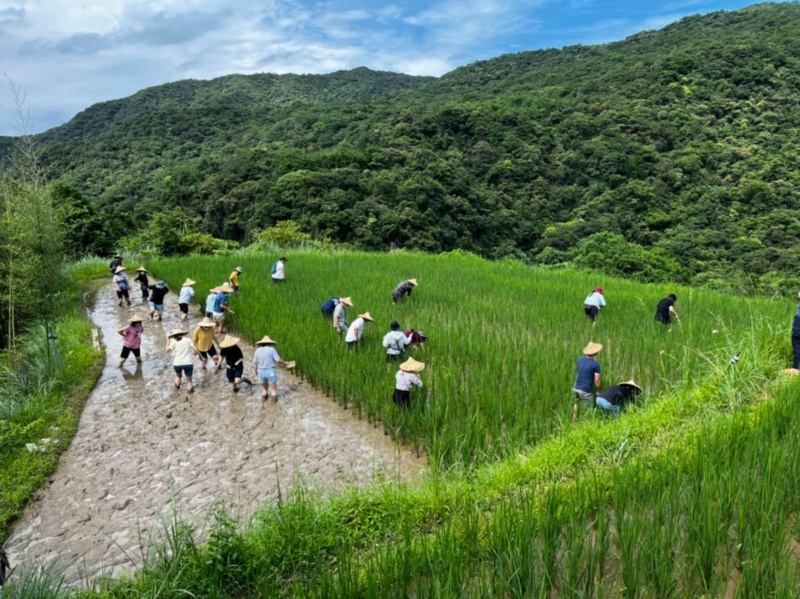 圖2：館員及志工增能食農教育的培力。