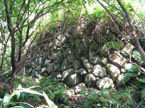 石城遺牆。本地多以石材、茅草、木材、土角為建屋材料。石塊於溪中或山邊打取，稱為「打石」，而有「打石師傅」此職業產生。（圖片來源：林正芳 提供）