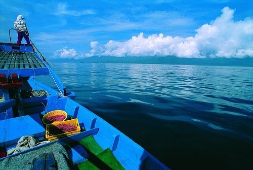 南方澳鏢旗魚的故事