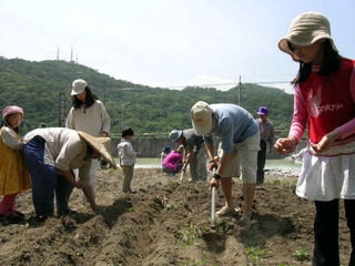 大大小小捋起袖子、褲腳，一同來整地