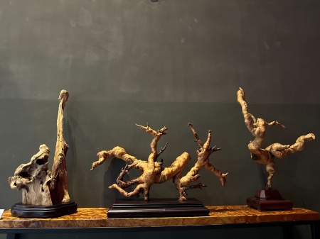 「律動」為三件一組，形狀似人正在舞蹈的紅檜樹根。