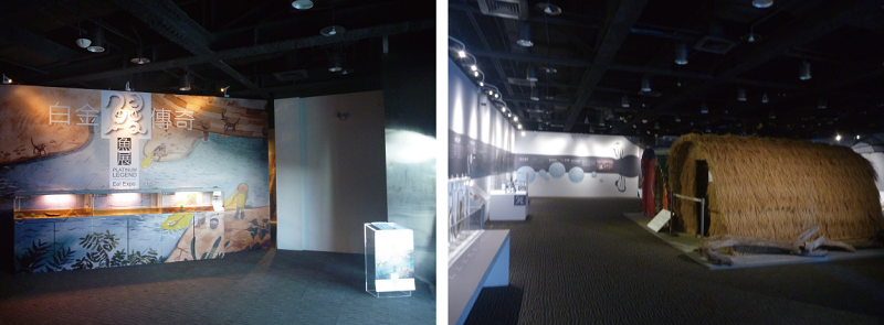 左：鰻魚特展展場入口 / 右：鰻魚特展展區