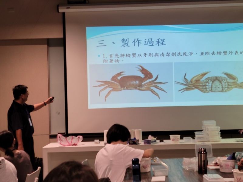陳老師介紹螃蟹標本的製作流程。