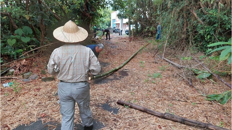 用柴刀將刺竹竹幹上多餘的竹節枝葉去除，以利後續進行搬運跟製作。
