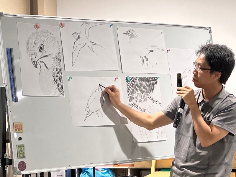 政霖老師示範鳥類繪圖結構及比例。