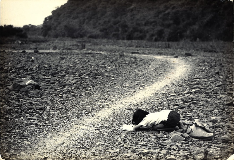 沉寂與燦爛:1960年代的宜蘭青年攝影家林永懋-序