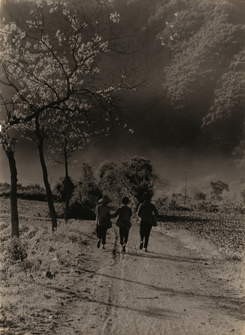 有三位青年都揹著大書包步行，拉長的影子在宜蘭大約清晨六七點左右，路邊幾顆小樹葉綠意盎然，有可能是春天時節的早晨。