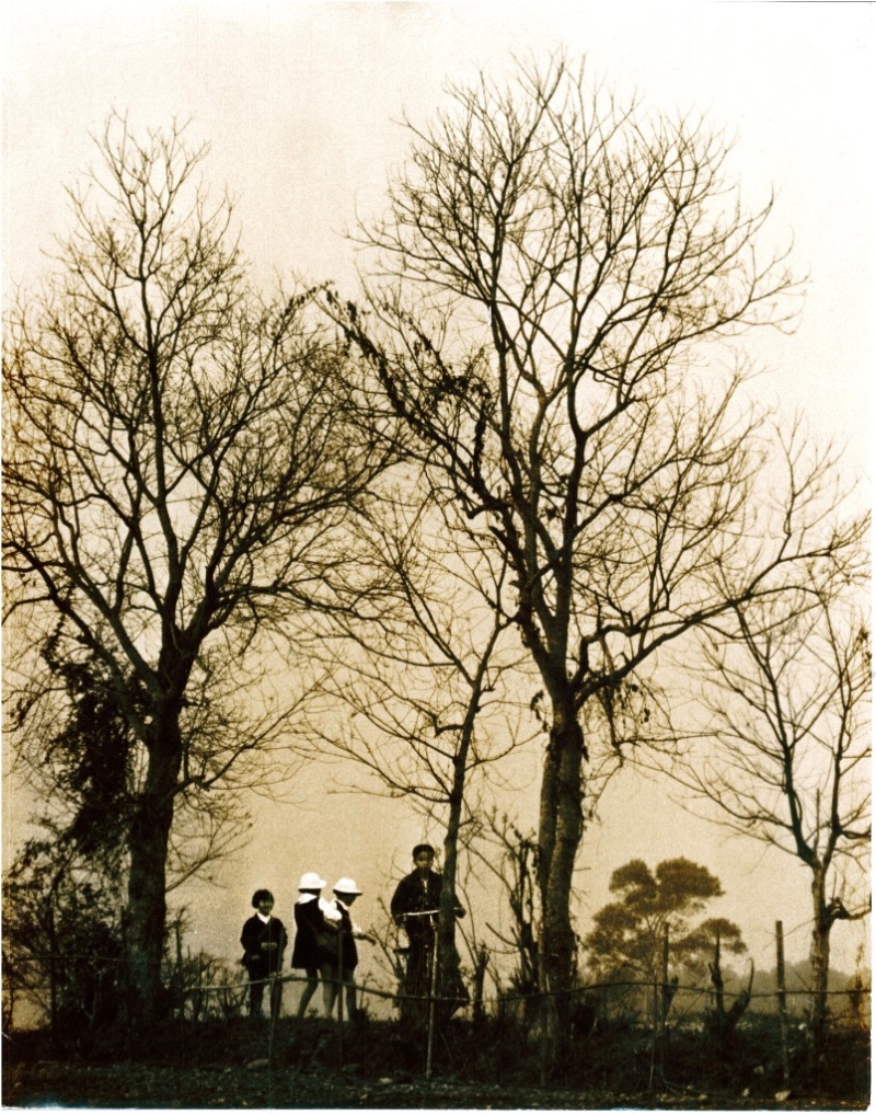 這張照片有三位小女童穿著較為正式，有制服和明亮的帽子，旁邊有一位騎自行車的小男生，周邊幾棵大樹的樹葉全部都落葉，顯示時間可能是在秋冬季節。