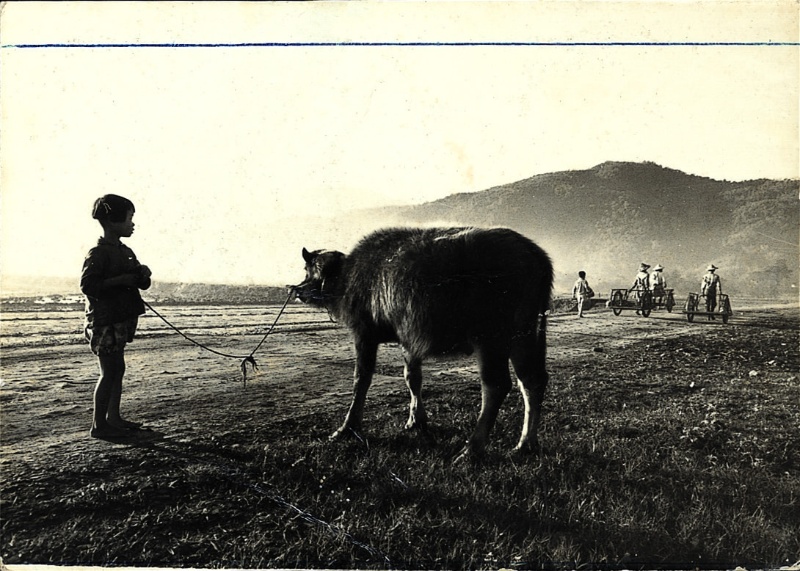 沉寂與燦爛:1960年代的宜蘭青年攝影家林永懋-(三)