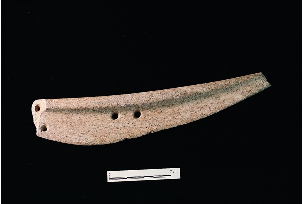 圖四 捲瓣形石刀為丸山考古遺址出土石器之一。(來源：文化部文化資產局。)