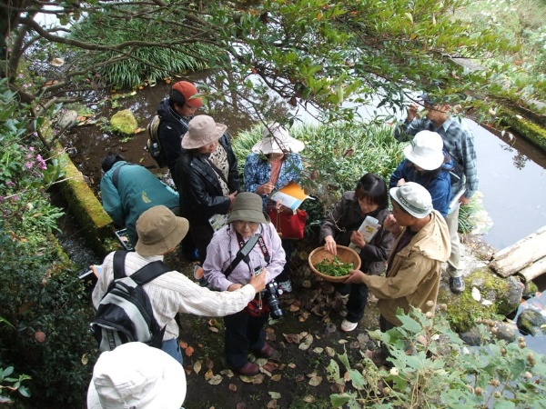 圖14：加勢社區居民作為導覽員，帶著遊客探索家鄉。