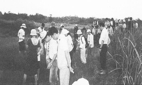 老師們在無尾港水鳥保護區認識濕地生物