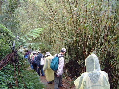 徑鉤杳杳淡蘭霧，樹蔭劬劬古今人─草嶺古道記行
