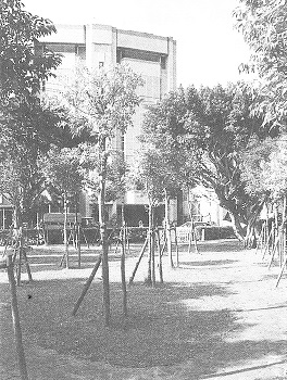 慈林巡禮─慈林教育基金會的成立