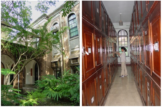 圖一國立臺灣大學植物標本館(TAI)建造於1929年