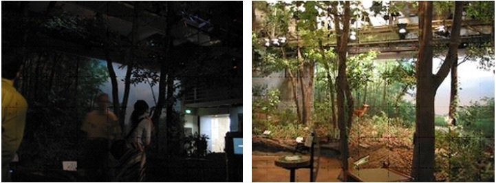 左圖：迷霧森林環境效果─清晨 / 右圖：迷霧森林環境效果─白天。七觀國際有限公司提供