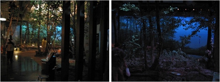 左圖：迷霧森林環境效果─黃昏 / 右圖：迷霧森林環境效果─夜晚。七觀國際有限公司提供