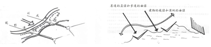 左圖：與社區結構的連結 / 右圖：直線與自然曲線的連結。