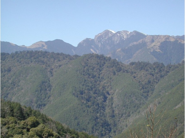 圖7 七一O林道遠眺雪山山脈