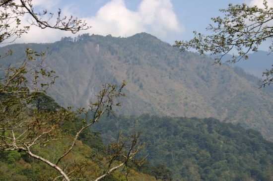 圖17.喀拉業山的大崩壁，崩塌後形成演替早期的植物社會