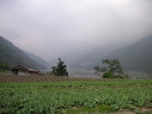 圖十：從南山村眺望四季聚落