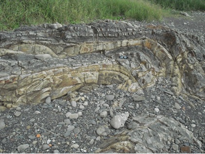 圖九：摺皺地層為砂頁岩的互層，土黃色為砂岩，灰黑色為硬頁岩。