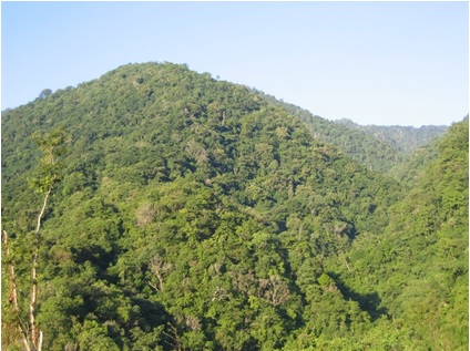 圖三：台灣北部桃園縣北部橫貫公路嘎拉賀附近的常綠闊葉林，稜線附近則為針闊葉混合林。