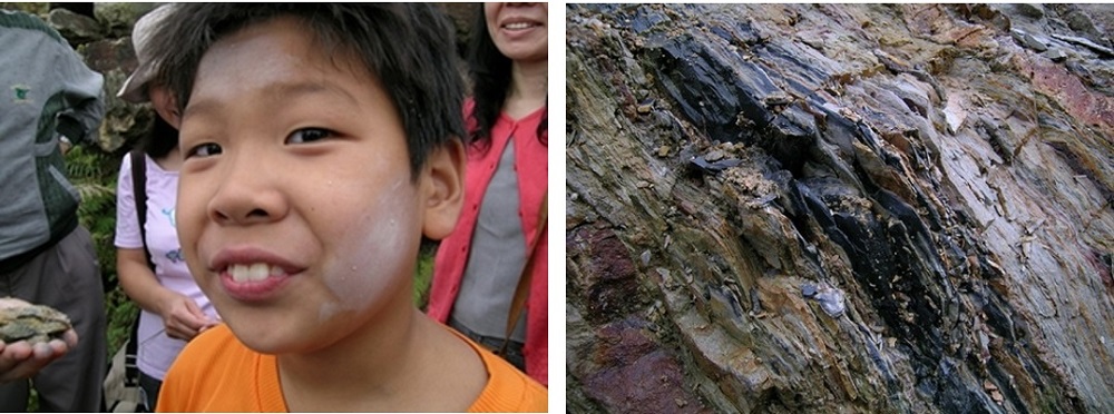 左圖：圖11四稜砂岩風化後產生的白土（可能為高領土），可當化妝品塗抹在臉上。 / 右圖：圖12砂岩中夾的炭質頁岩層。