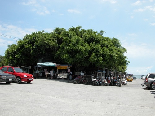 東港村榕樹公園